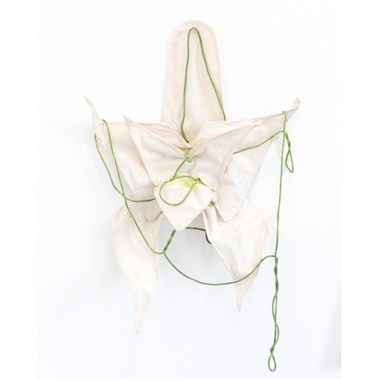 Orchid #1