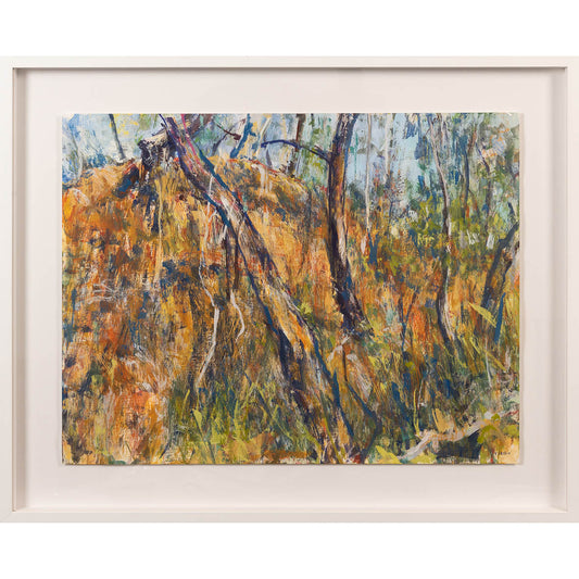 Elena Larkin | Drawing | Tethered to our mess (Hill End, Wiradjuri land)